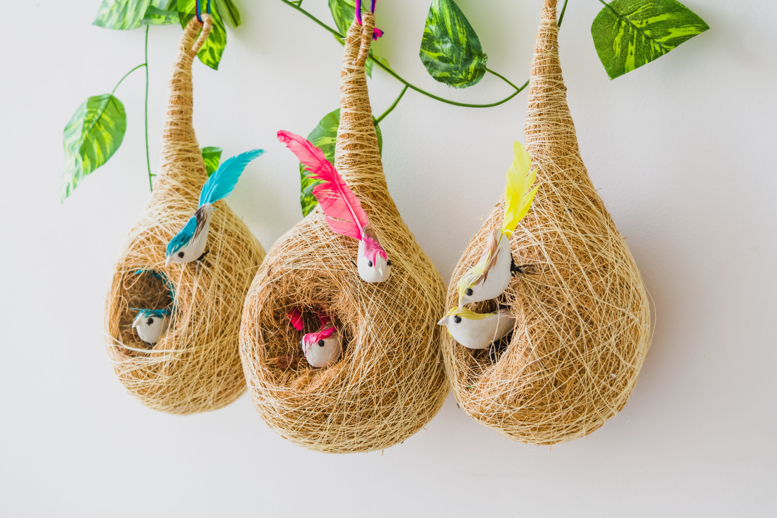 Webelkat Designer Premium Hanging Coir Bird Nest for Small Birds Balco